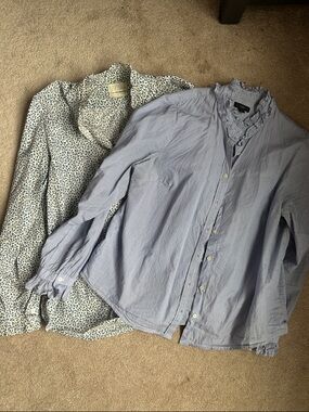 J. Crew Light Blue Ruffle-Collar Button-Up Blouse